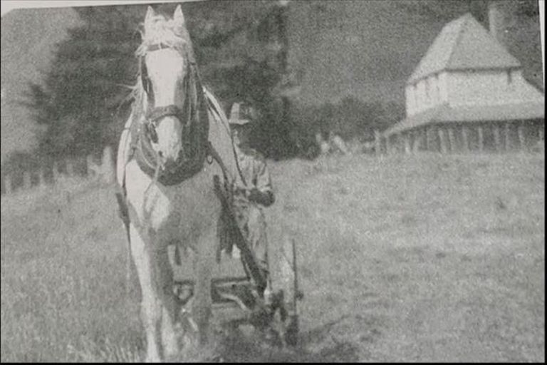 Photo of property in Daisy Hill Farm, 15 Truscott Avenue, Johnsonville, Wellington, 6037