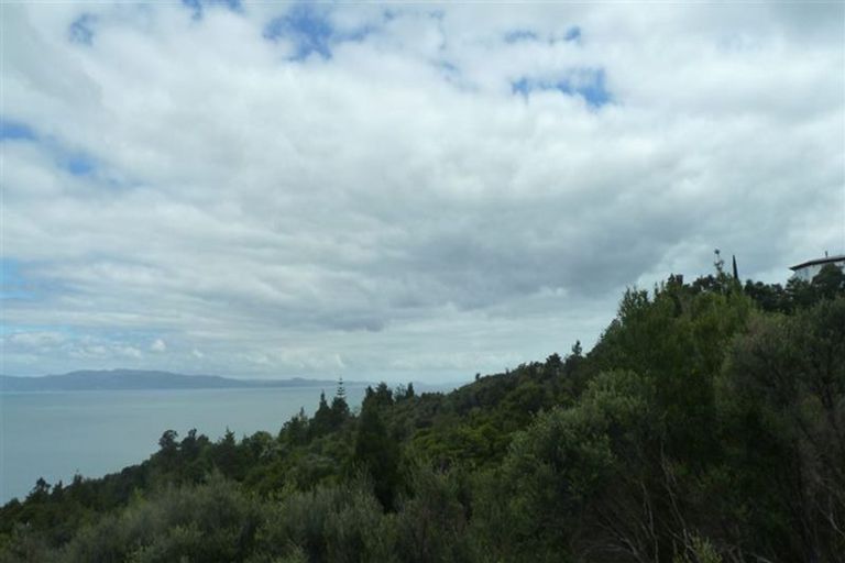 Photo of property in 45 Otuturu Crescent, Ruamahunga, Thames, 3575