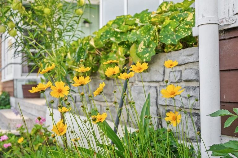 Photo of property in 24 Maire Street, Tikipunga, Whangarei, 0112