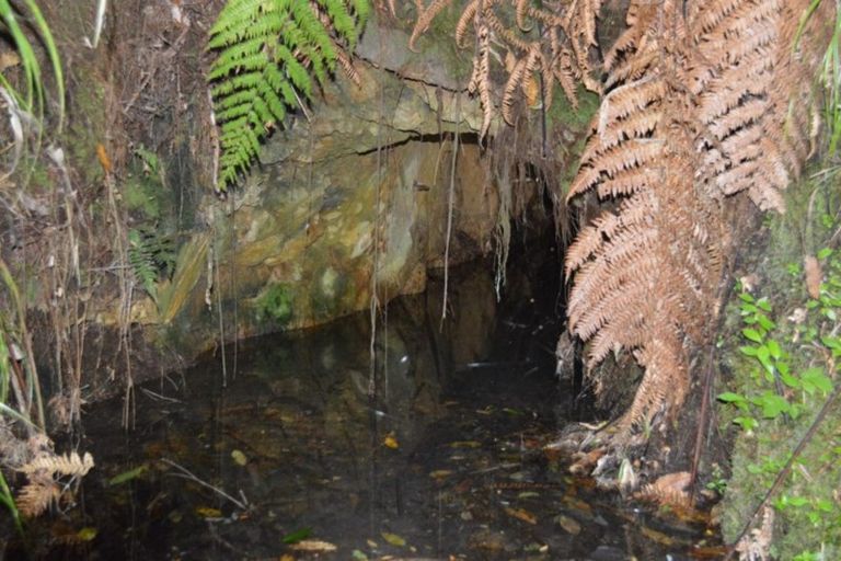 Photo of property in 1455 Buffalo Road, Coromandel, 3506