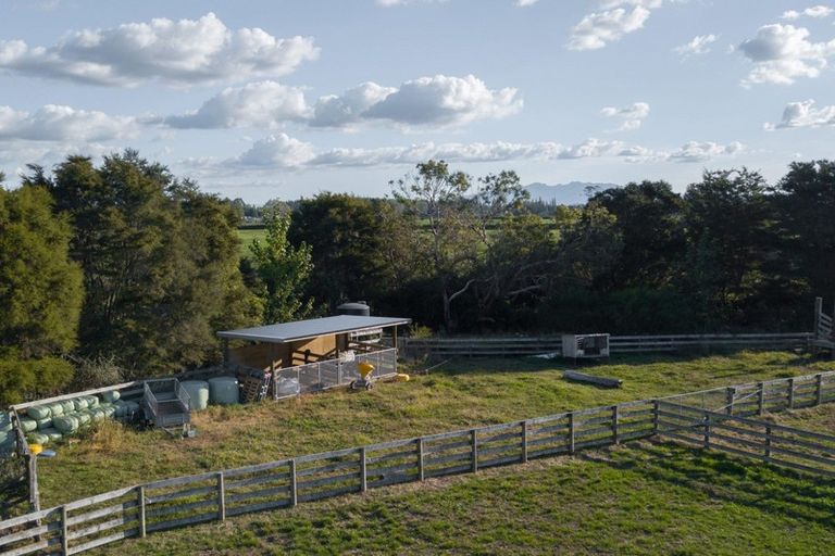 Photo of property in 244 Mystery Creek Road, Ohaupo, 3881