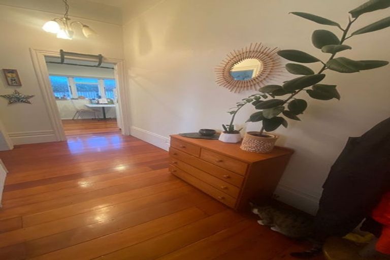 Photo of property in 21a Millward Street, Newtown, Wellington, 6021