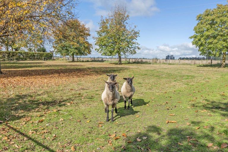 Photo of property in 3018 Methven Highway, Methven, Ashburton, 7776