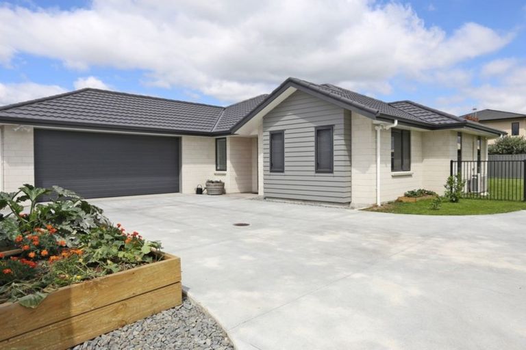 Photo of property in 550 Lyndhurst Road, Frimley, Hastings, 4120