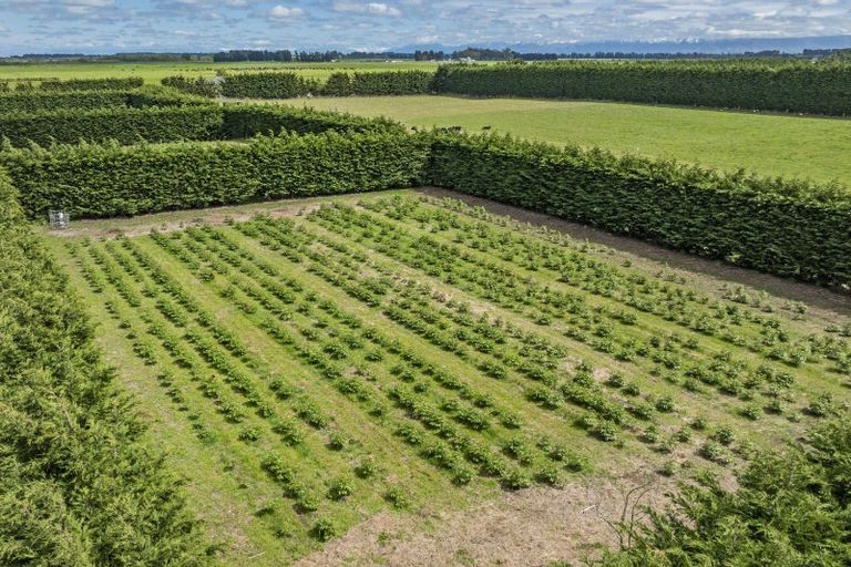 Photo of property in 2924 North Rakaia Road, Bankside, Rakaia, 7783