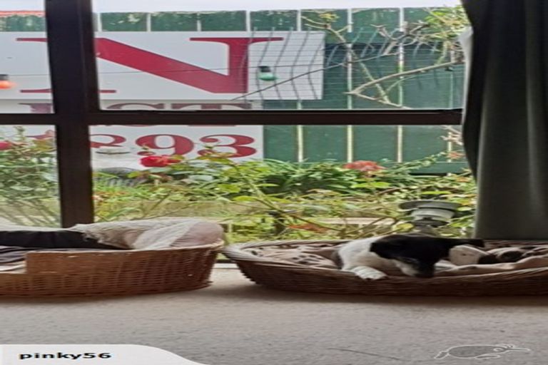 Photo of property in 2b Denver Place, Milson, Palmerston North, 4414