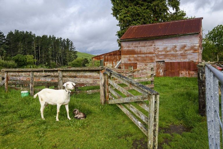 Photo of property in 22 Phillips Road, Motu, Te Karaka, 4092