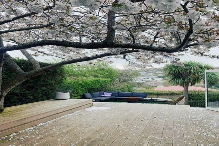 Photo of property in 46 Walton Street, Kaikorai, Dunedin, 9010