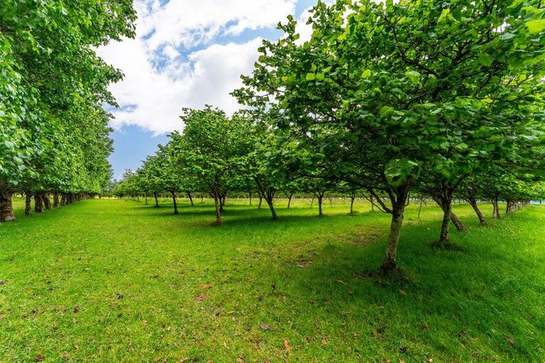 Photo of property in 120 Summerleaze Road, Pareora West, Timaru, 7971