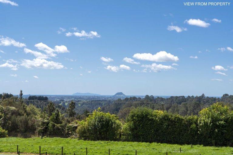 Photo of property in 790 Belk Road, Omanawa, Tauranga, 3171