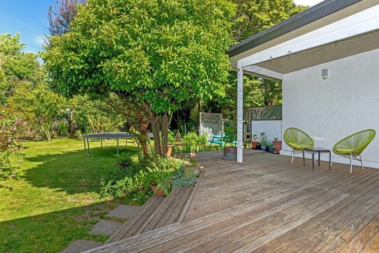 Photo of property in 113 Harris Street, Inner Kaiti, Gisborne, 4010