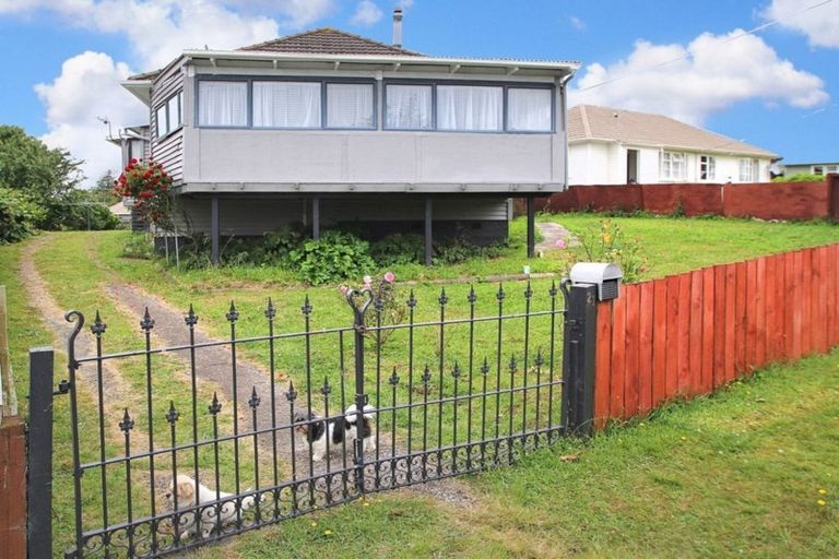 Photo of property in 21 Clothier Street, Putaruru, 3411