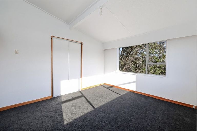 Photo of property in 3 Beatty Street, Waverley, Dunedin, 9013