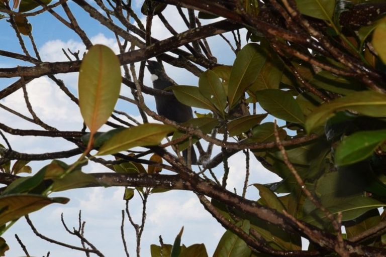 Photo of property in 38 Lagan Street, Bluff, 9814