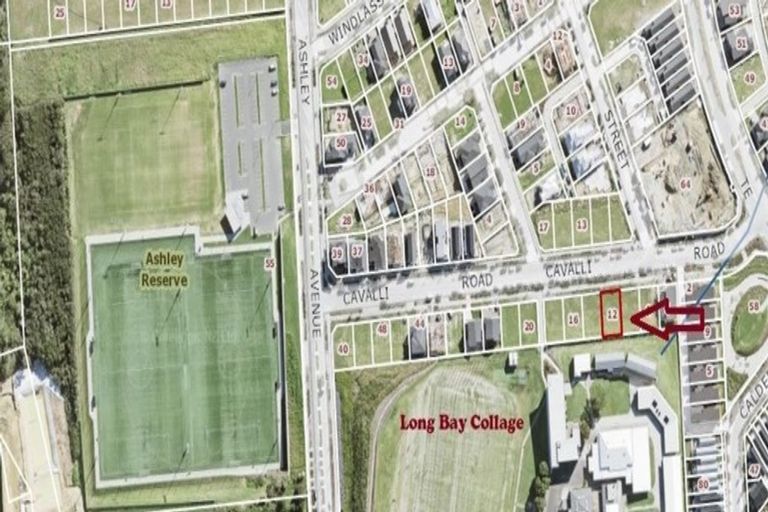 Photo of property in 12 Cavalli Road, Long Bay, Auckland, 0630