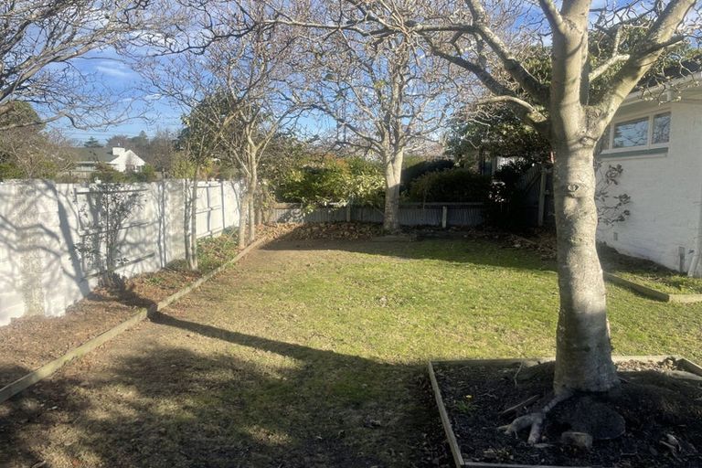 Photo of property in 17 Oakfield Street, Burnside, Christchurch, 8053