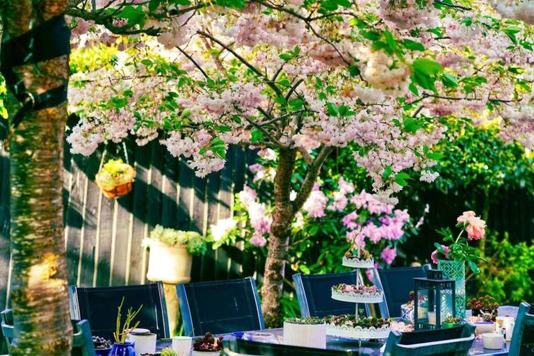 Photo of property in 24 Date Crescent, Aidanfield, Christchurch, 8025