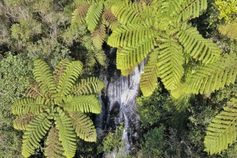 Photo of property in 649f Esdaile Road, Whakamarama, Tauranga, 3180