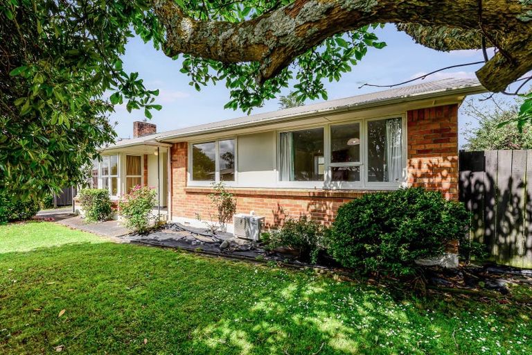 Photo of property in 6 Pickering Crescent, Chedworth, Hamilton, 3210