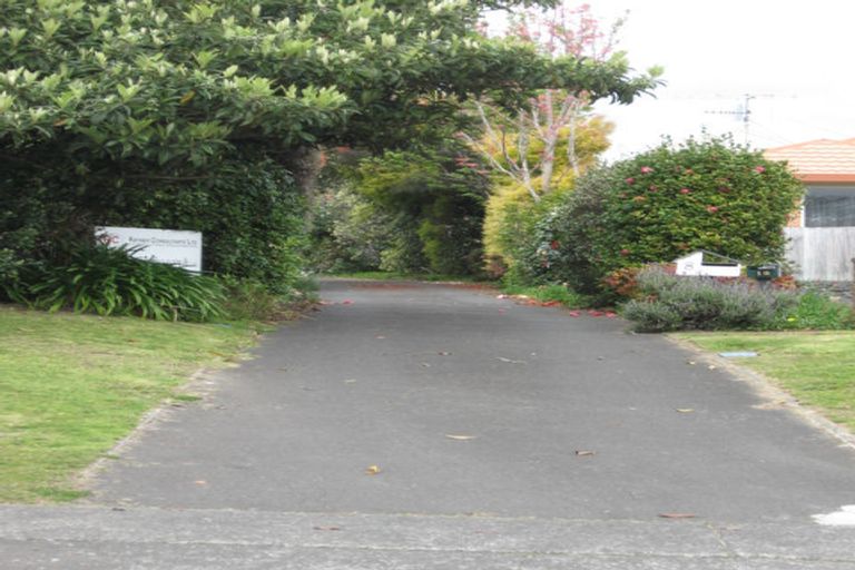 Photo of property in 8 Ninth Avenue, Tauranga, 3110