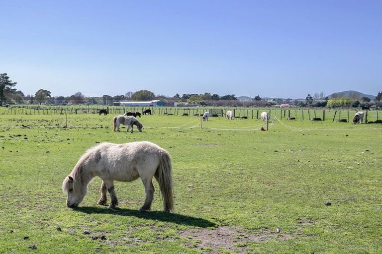 Photo of property in 172e Manaia Road, Homebush, Masterton, 5885