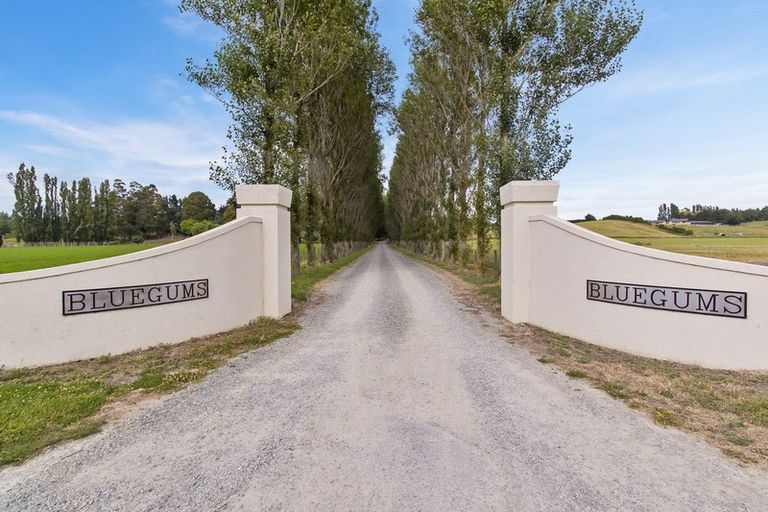 Photo of property in 703 Pleasant Point Highway, Levels, Timaru, 7975