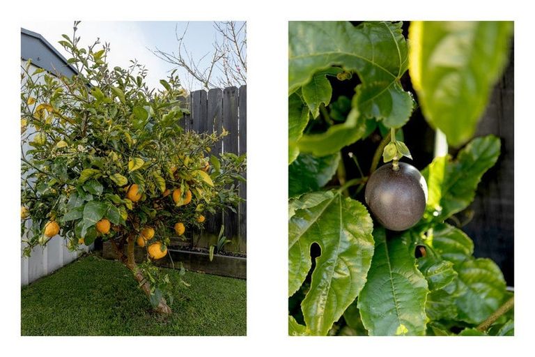 Photo of property in 735 Gloucester Road, Papamoa Beach, Papamoa, 3118