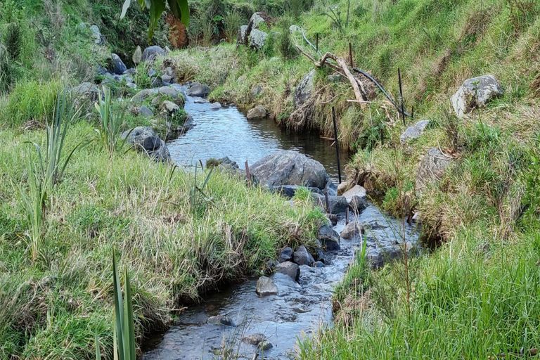 Photo of property in 244a Lindemann Road, Tahawai, Katikati, 3170