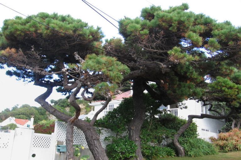 Photo of property in 7 Pinelands Avenue, Seatoun, Wellington, 6022