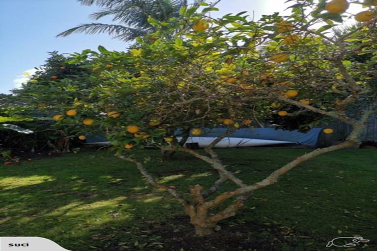 Photo of property in 19 Albany Road, Ponsonby, Auckland, 1011