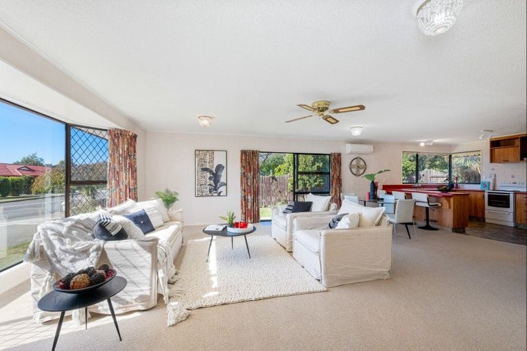 Photo of property in 55 Brooklyn Drive, Redwoodtown, Blenheim, 7201