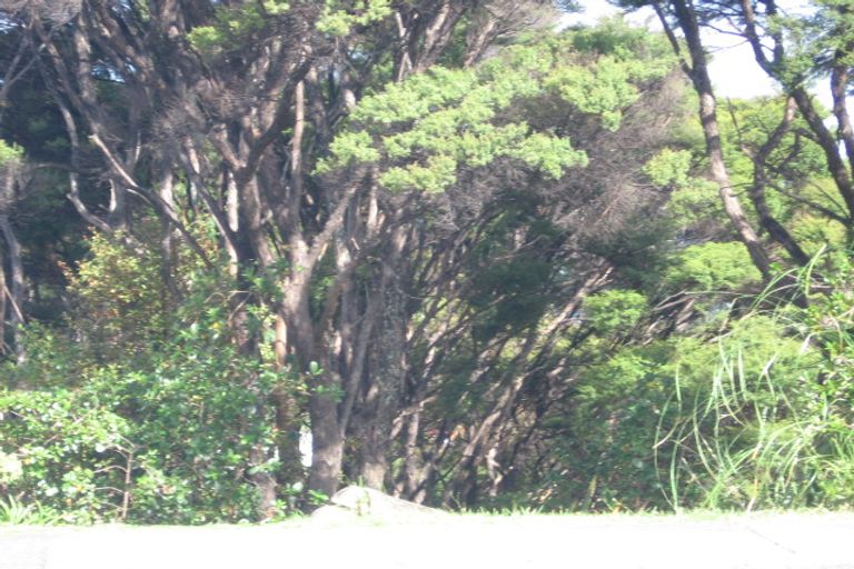 Photo of property in 68 Manuka Road, Glenfield, Auckland, 0629