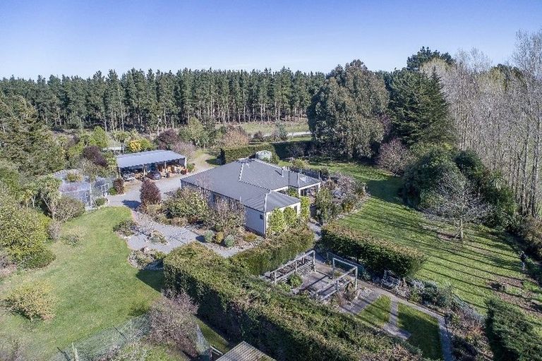 Photo of property in 344 Tramway Road, Leeston, 7682