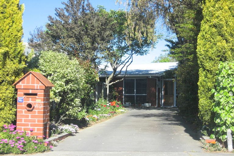 Photo of property in 119 Alfred Street, Blenheim, 7201