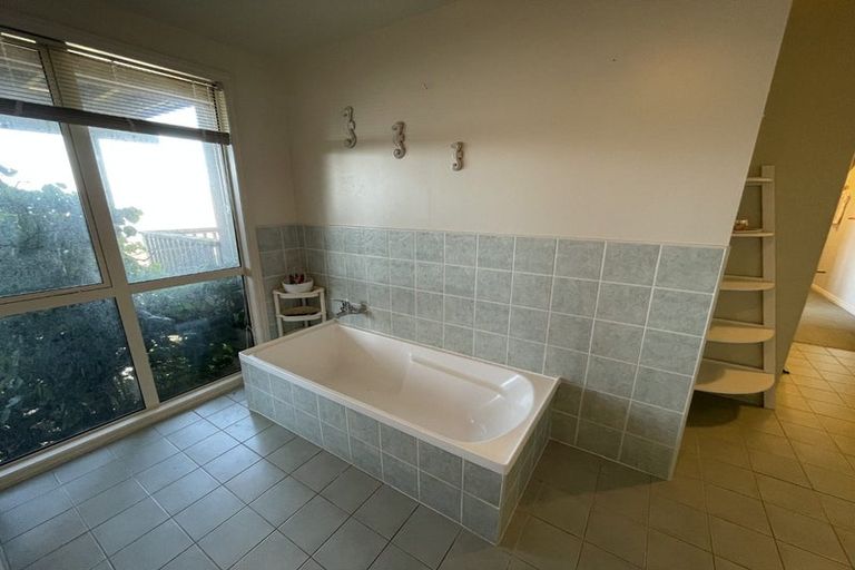 Photo of property in 51 Hornsey Road, Melrose, Wellington, 6023