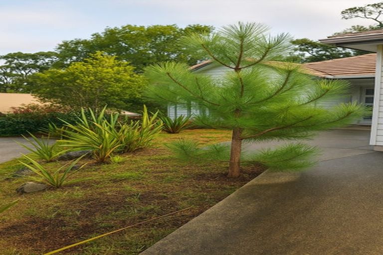 Photo of property in 98 Tiriwa Drive, Massey, Auckland, 0614