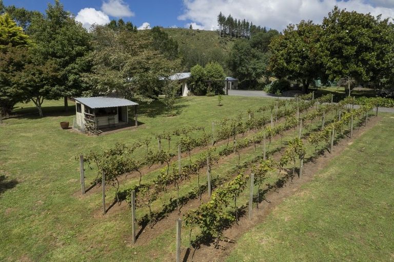 Photo of property in 239a Waitawheta Road, Waikino, Waihi, 3682