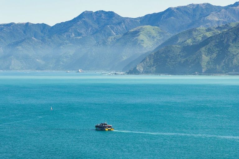 Photo of property in 40 State Highway 1, Kaikoura, 7371