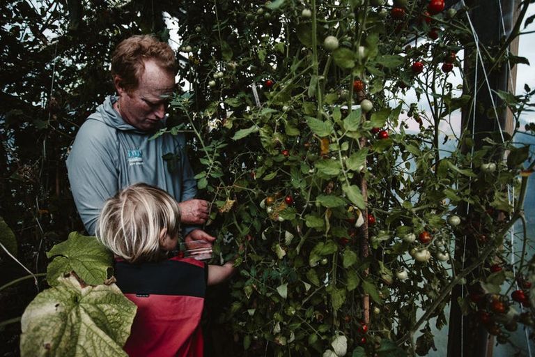 Photo of property in 17 Pekanga Drive, Fox Glacier, 7886