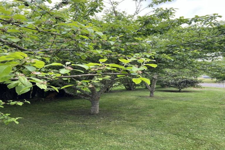 Photo of property in 6 Morunga Street, Omori, Turangi, 3381