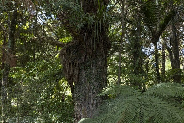 Photo of property in 42b Dutton Road, Peria, Kaitaia, 0482