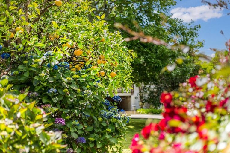 Photo of property in 3 Romney Square, Tawa, Wellington, 5028