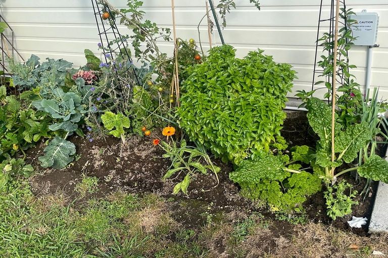 Photo of property in 22 Gordon Davies Lane, Huntington, Hamilton, 3210