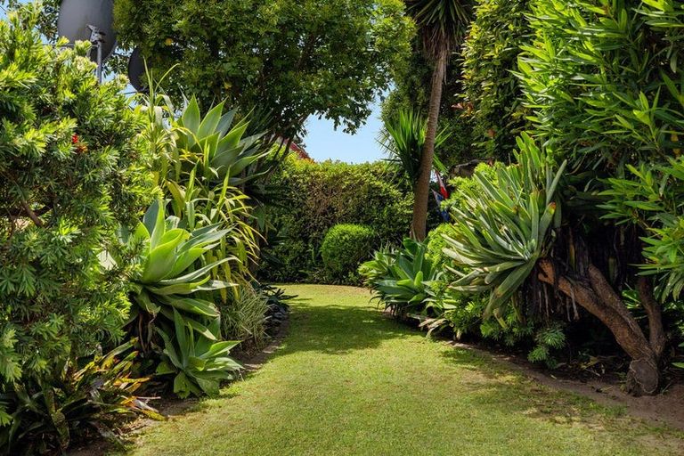 Photo of property in 52 Sunrise Avenue, Mount Maunganui, 3116