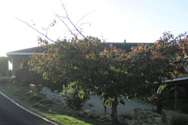 Photo of property in 161 Langdale Avenue, Paraparaumu, 5032