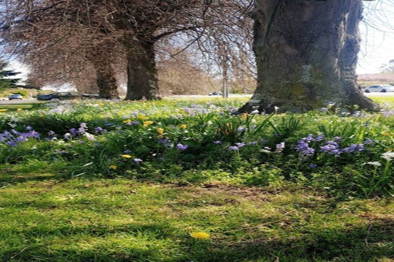 Photo of property in 240 King Street, Temuka, 7920