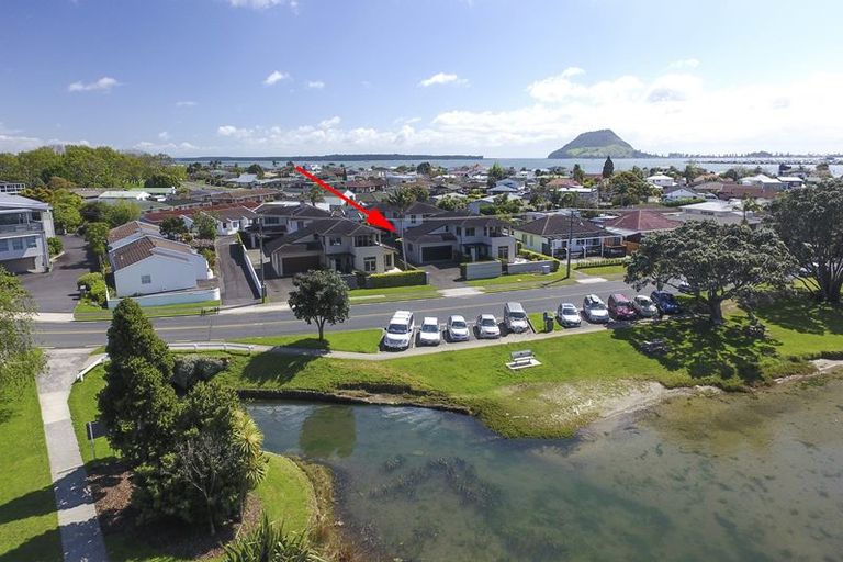 Photo of property in 51a Maxwells Road, Otumoetai, Tauranga, 3110