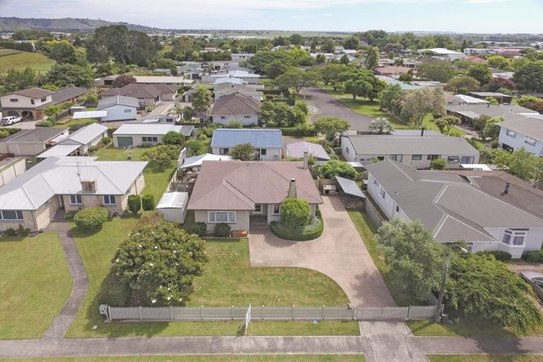 Photo of property in 11 Puriri Avenue, Te Puke, 3119