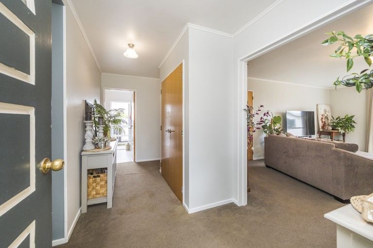 Photo of property in 115 Stanford Street North, Ashhurst, 4810