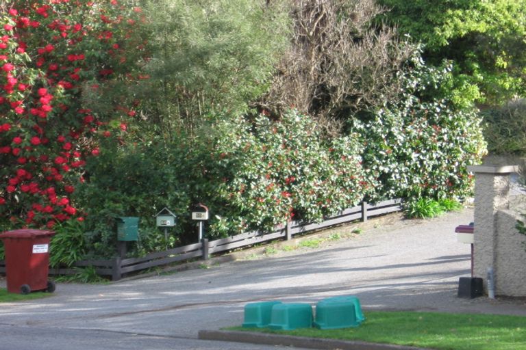 Photo of property in 55 Manuka Street, Lansdowne, Masterton, 5810